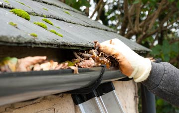 gutter cleaning North End
