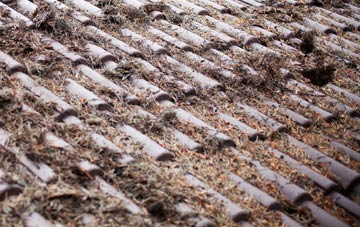 North End roof cleaning companies